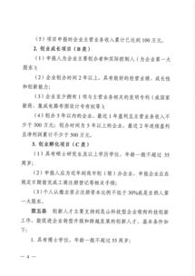 創(chuàng)業(yè)計劃,創(chuàng)新,建議,投資