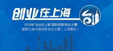 國外,類型,創(chuàng)新,政策