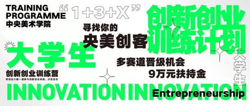 校級大學(xué)生創(chuàng)新創(chuàng)業(yè)訓(xùn)練計(jì)劃英語