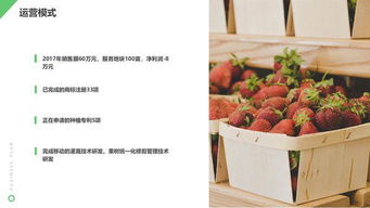 互聯(lián)網(wǎng)+鮮花店大學(xué)生創(chuàng)新創(chuàng)業(yè)計劃書,大學(xué)生開鮮花店創(chuàng)業(yè)計劃書,大學(xué)生鮮花店創(chuàng)業(yè)計劃書的模板