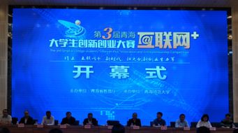 青海省互聯(lián)網(wǎng)大學(xué)生創(chuàng)新創(chuàng)業(yè)大賽