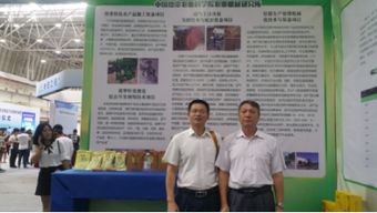 大眾,班會(huì),萬眾,創(chuàng)新