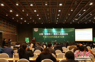 農(nóng)人,意義,創(chuàng)新,創(chuàng)業(yè)