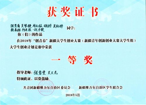 計劃書,獲獎,案例,挑戰(zhàn)杯