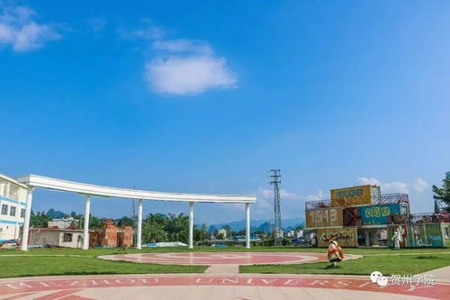 南開大學(xué),西藏,創(chuàng)新,基地