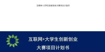 互聯(lián)網(wǎng),計劃書,創(chuàng)業(yè)項(xiàng)目,創(chuàng)新