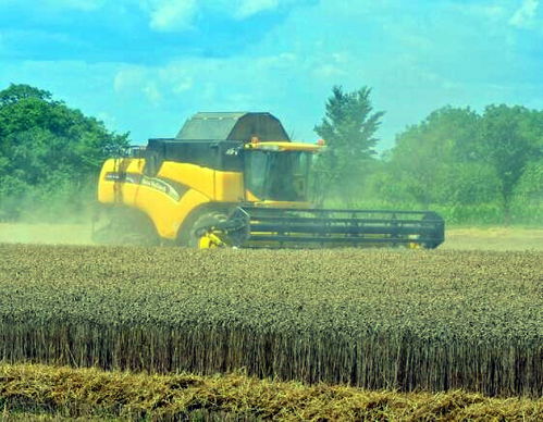 農(nóng)村,創(chuàng)新,創(chuàng)業(yè),農(nóng)業(yè)