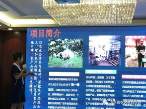 農(nóng)村創(chuàng)業(yè)創(chuàng)新人才申報(bào)