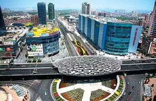 上海市楊浦區(qū)創(chuàng)新創(chuàng)業(yè)激勵,磨子橋創(chuàng)新創(chuàng)業(yè)街區(qū),楊浦區(qū)創(chuàng)新創(chuàng)業(yè)先進(jìn)個人