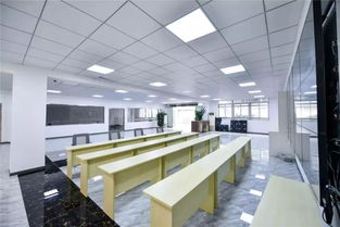 業(yè)態(tài),聚焦,領(lǐng)域,創(chuàng)新