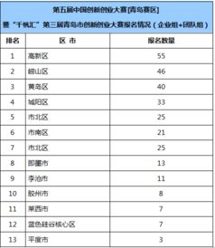 創(chuàng)新創(chuàng)業(yè)參賽項目匯總表
