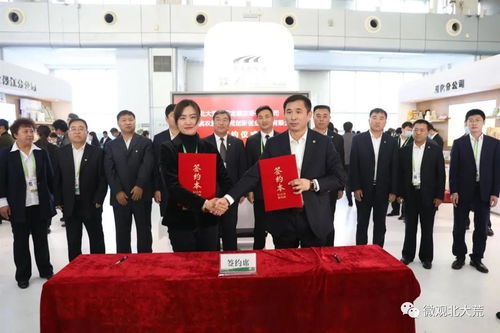 北大荒,創(chuàng)新,創(chuàng)業(yè),公司