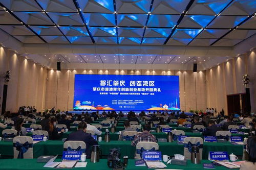 肇慶高新區(qū)創(chuàng)新創(chuàng)業(yè)科學園,肇慶港澳青年創(chuàng)新創(chuàng)業(yè)基地,創(chuàng)新創(chuàng)業(yè)總結