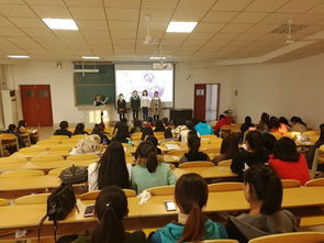 學前教育創(chuàng)業(yè)創(chuàng)新大賽項目