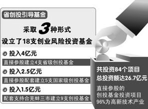 創(chuàng)新創(chuàng)業(yè)項目有什么形式