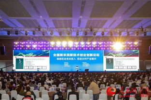 博覽會,農(nóng)民,創(chuàng)新,創(chuàng)業(yè)