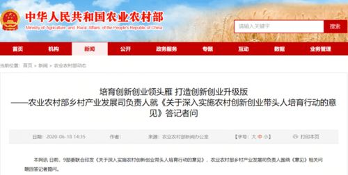 關(guān)于開展創(chuàng)新創(chuàng)業(yè)活動的建議