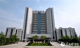 大樓,九華,創(chuàng)新,創(chuàng)業(yè)