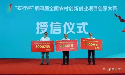 激發(fā),活力,農(nóng)村,創(chuàng)新