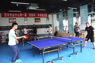 乒乓球館創(chuàng)新創(chuàng)業(yè)