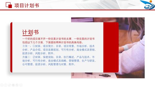 計(jì)劃書,附錄,創(chuàng)業(yè)項(xiàng)目,創(chuàng)新