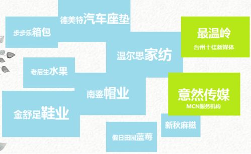 直播帶貨創(chuàng)業(yè)計(jì)劃書(大學(xué)生版),鄉(xiāng)村直播帶貨創(chuàng)業(yè)計(jì)劃書,直播帶貨syb創(chuàng)業(yè)計(jì)劃書