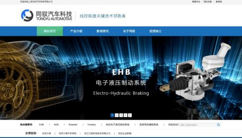 創(chuàng)新創(chuàng)業(yè)項目管理團隊怎么寫