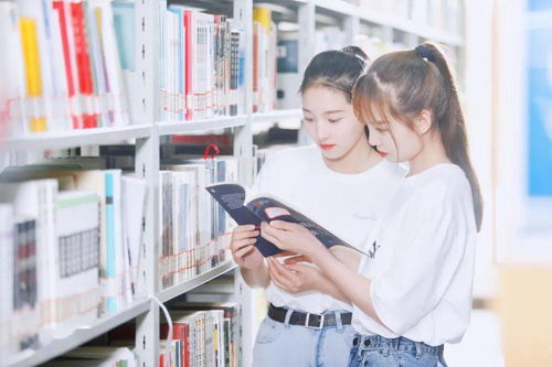 這門,理解,課程,創(chuàng)新