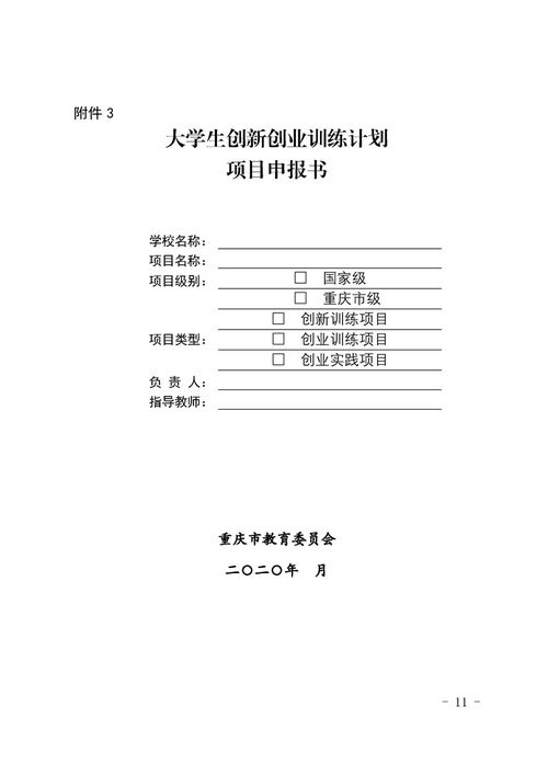 計劃書,創(chuàng)業(yè)項目,創(chuàng)新,大學(xué)生