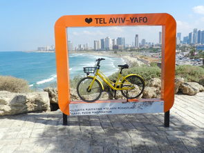 ofo創(chuàng)新創(chuàng)業(yè)史