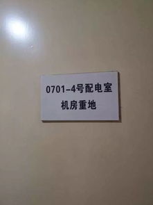 問(wèn)卷調(diào)查,實(shí)習(xí)報(bào)告,創(chuàng)新,創(chuàng)業(yè)