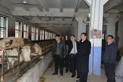 宣漢,科技人員,申報(bào),創(chuàng)新