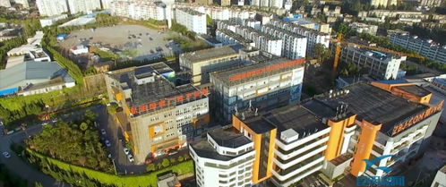 活力,確保,創(chuàng)新,創(chuàng)業(yè)