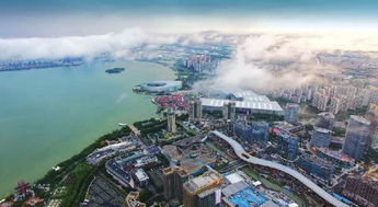 金雞,創(chuàng)新,創(chuàng)業(yè)