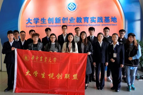 大學(xué)生創(chuàng)新創(chuàng)業(yè)團(tuán)隊(duì)成員優(yōu)勢(shì)怎么寫