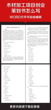 膠輪,策劃書,創(chuàng)新,創(chuàng)業(yè)