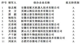 管理團隊,創(chuàng)業(yè)項目,創(chuàng)新