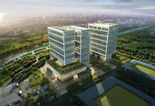 新疆,孵化,生物醫(yī)藥,創(chuàng)新