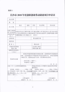 帶動(dòng),申請(qǐng)報(bào)告,就業(yè),創(chuàng)新