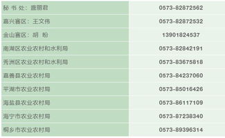 創(chuàng)新創(chuàng)業(yè)計劃書報名查重嗎