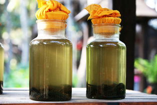 關(guān)于藥酒的創(chuàng)新創(chuàng)業(yè)標(biāo)題