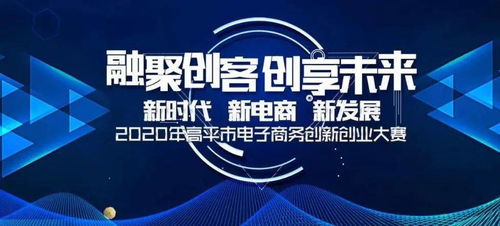 電子商務創(chuàng)新創(chuàng)業(yè)大賽優(yōu)秀電子