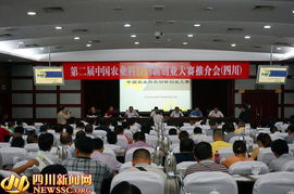 農(nóng)村,創(chuàng)新,支持,創(chuàng)業(yè)