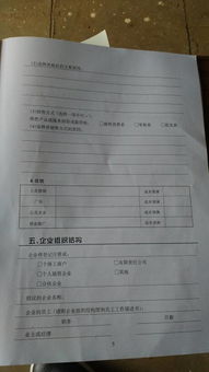 計劃書,租賃,創(chuàng)新,服飾
