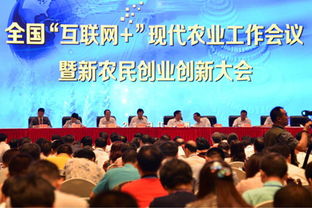 農(nóng)業(yè)創(chuàng)業(yè)創(chuàng)新典型人物故事,農(nóng)業(yè)創(chuàng)業(yè)創(chuàng)新學(xué)員心得體會(huì),農(nóng)業(yè)創(chuàng)新創(chuàng)業(yè)案例