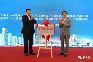 新僑創(chuàng)新創(chuàng)業(yè)示范基地類(lèi)型