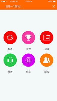 創(chuàng)新,寵物,創(chuàng)業(yè),APP
