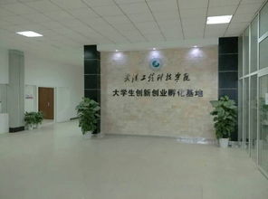 孵化,創(chuàng)新,創(chuàng)業(yè),大學(xué)