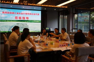 基因,創(chuàng)新,創(chuàng)業(yè),文化