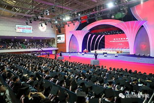 規(guī)劃,傳媒,創(chuàng)新,創(chuàng)業(yè)